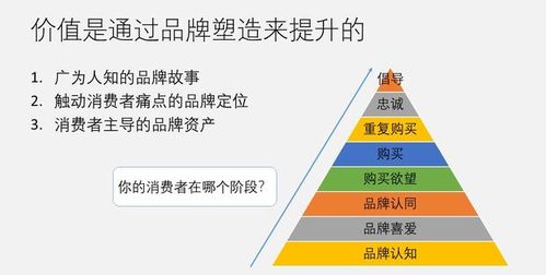 移动互联网时代品牌建设与营销战略——以互联网销售为核心